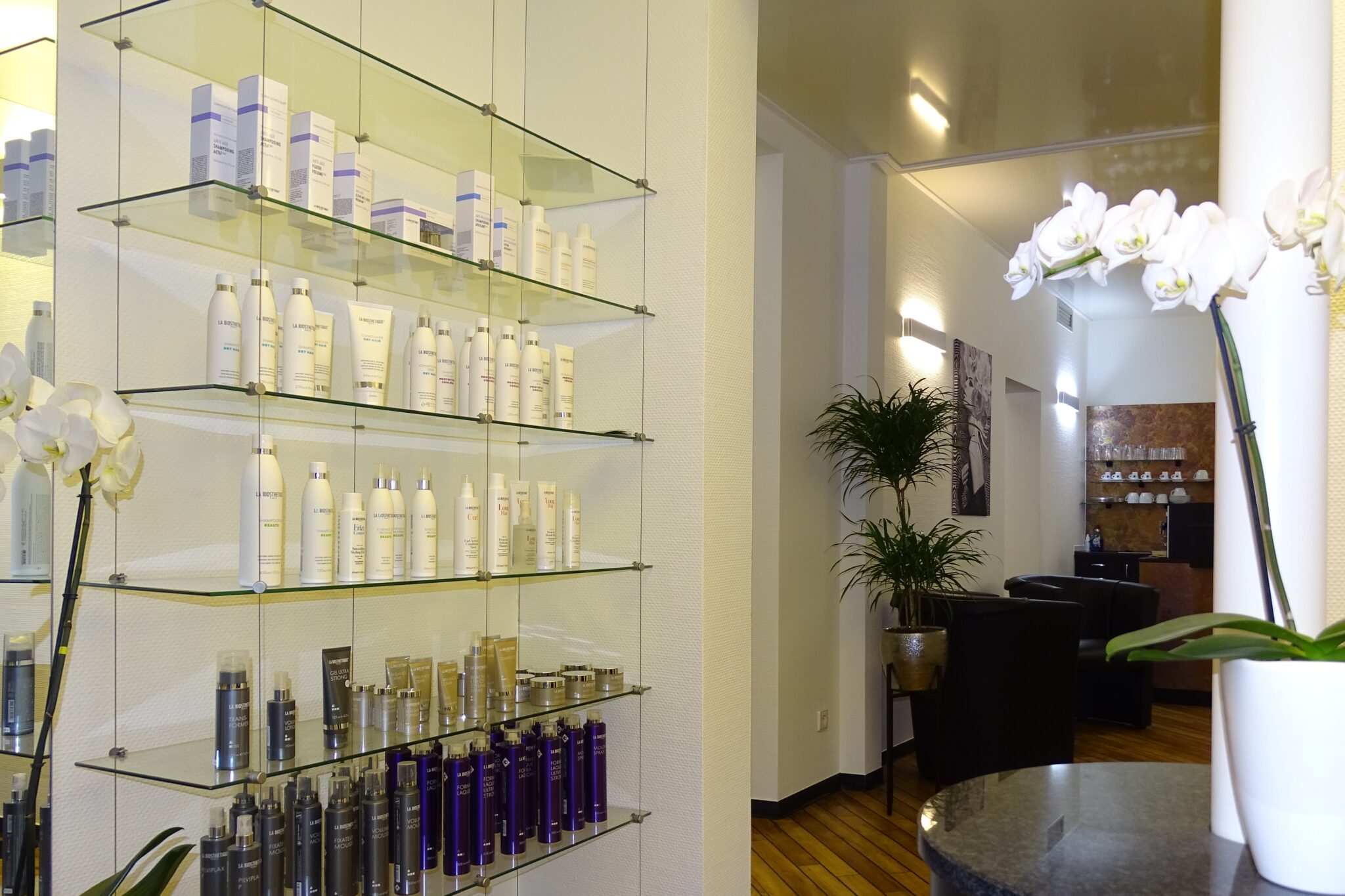 Exklusive Frisuren in Esslingen